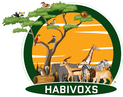 Habivoxs