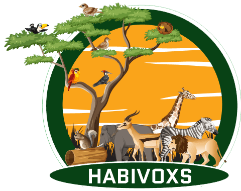 Habivoxs