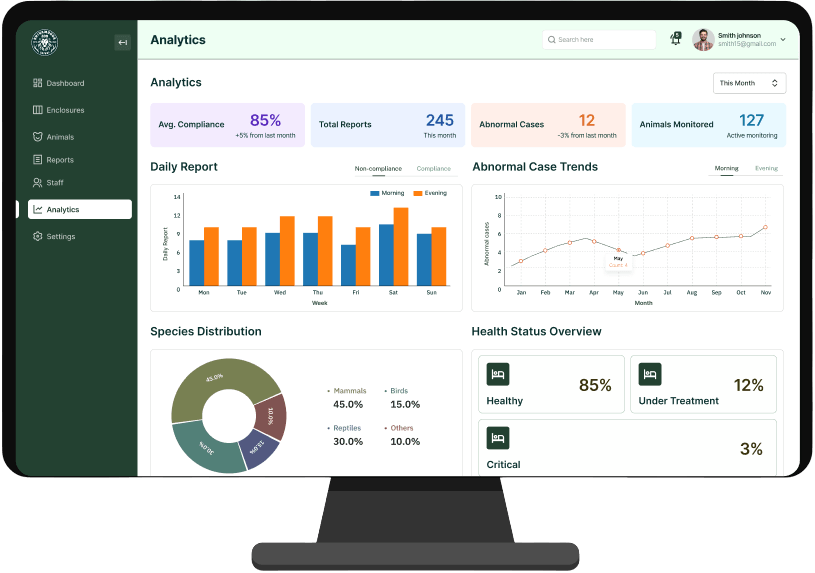 Web App Preview